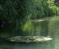 Joshofen Weiher